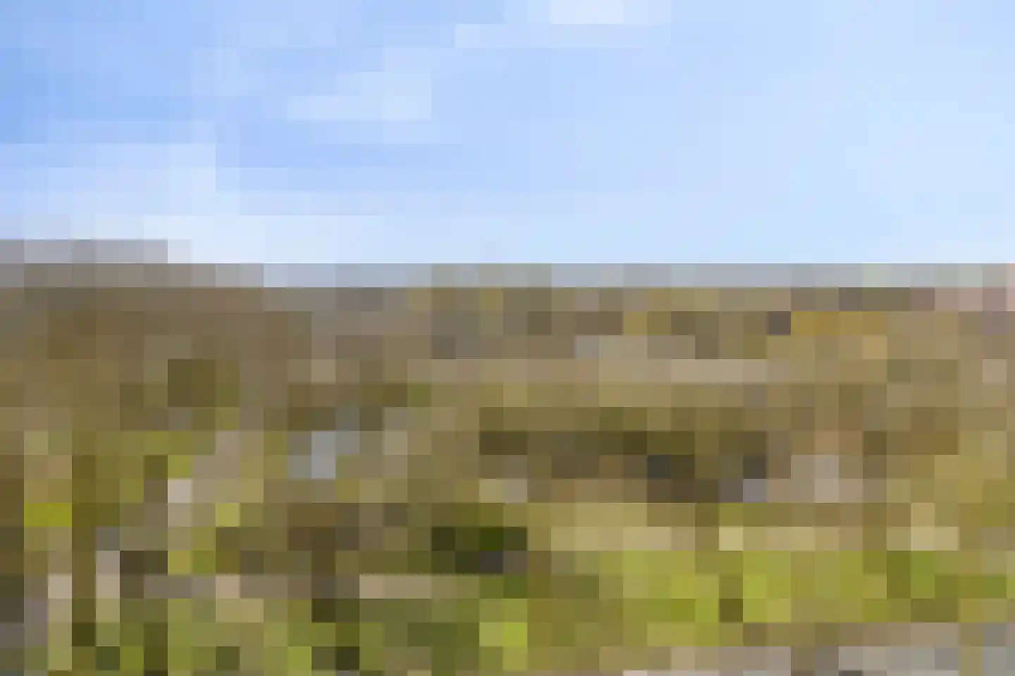 Donderslaan 111 Groningen thumbnail 16