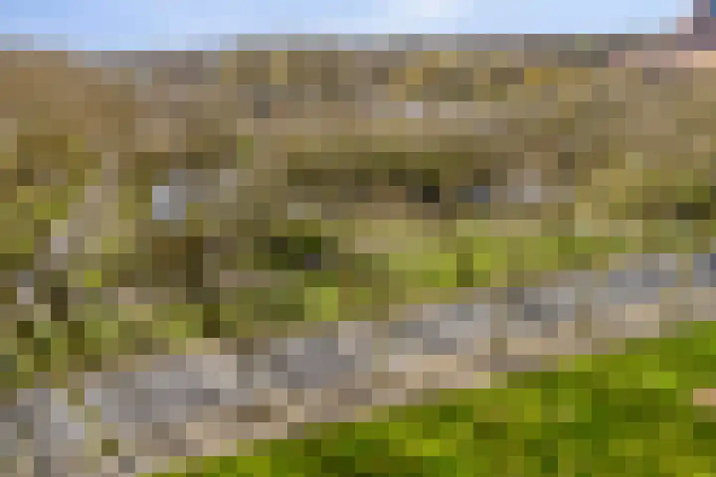 Donderslaan 111 Groningen thumbnail 17