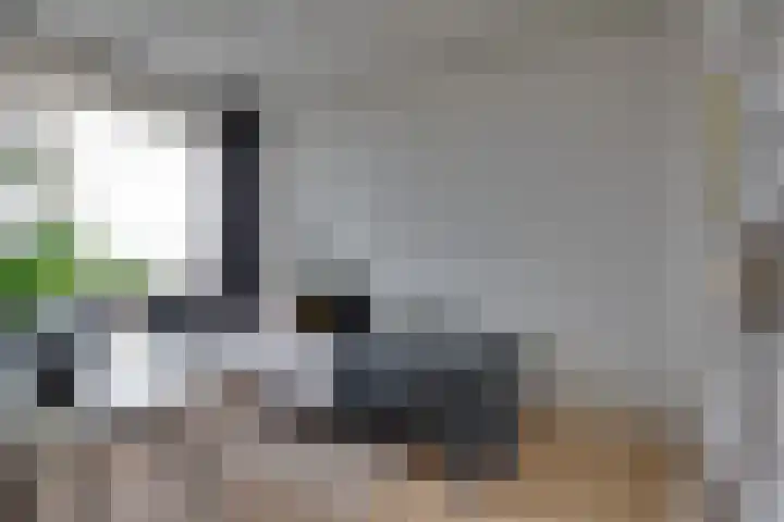 Donderslaan 112 Groningen thumbnail 20