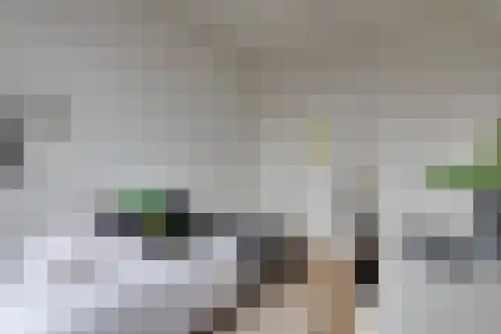 Donderslaan 112 Groningen thumbnail 22