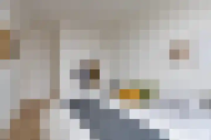 Donderslaan 112 Groningen thumbnail 26