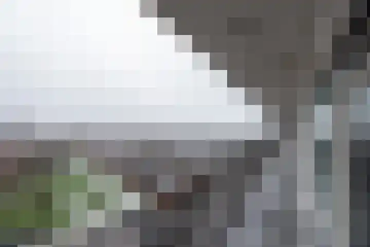 Donderslaan 112 Groningen thumbnail 30
