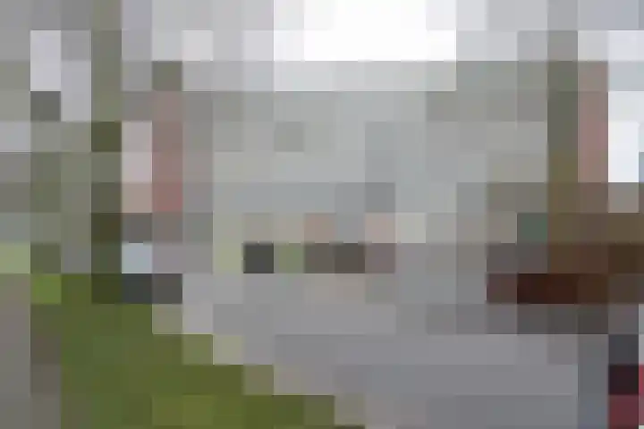 Donderslaan 112 Groningen thumbnail 4