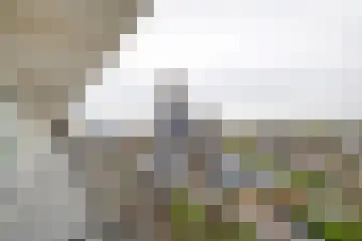 Donderslaan 123 Groningen thumbnail 12