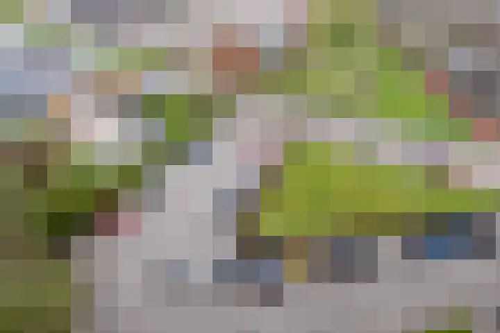 Donderslaan 123 Groningen thumbnail 36