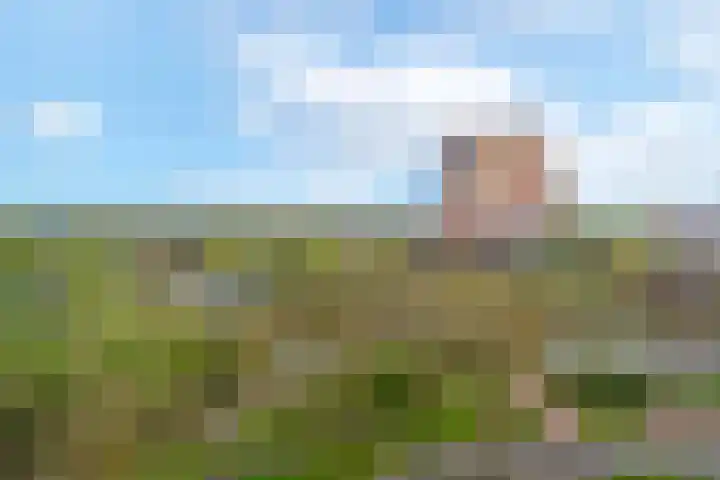 Donderslaan 123 Groningen thumbnail 4