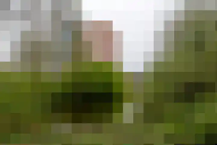 Donderslaan 123 Groningen thumbnail 42