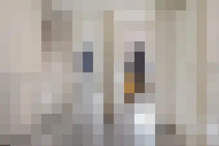 Donderslaan 34 5 Groningen thumbnail 20