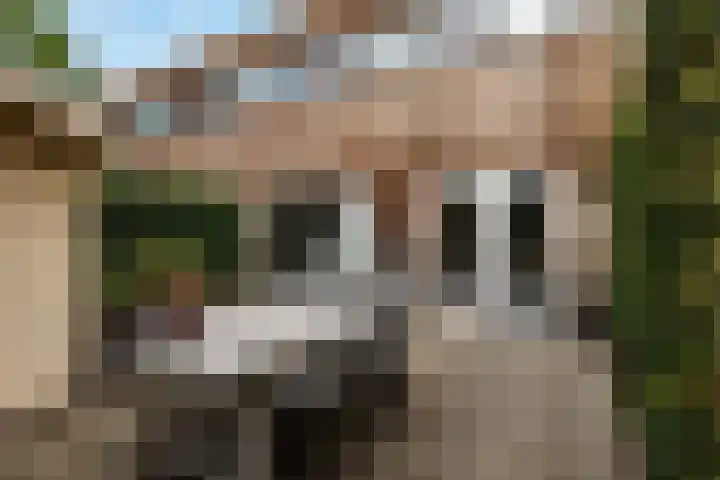 Donderslaan 34 5 Groningen thumbnail 27