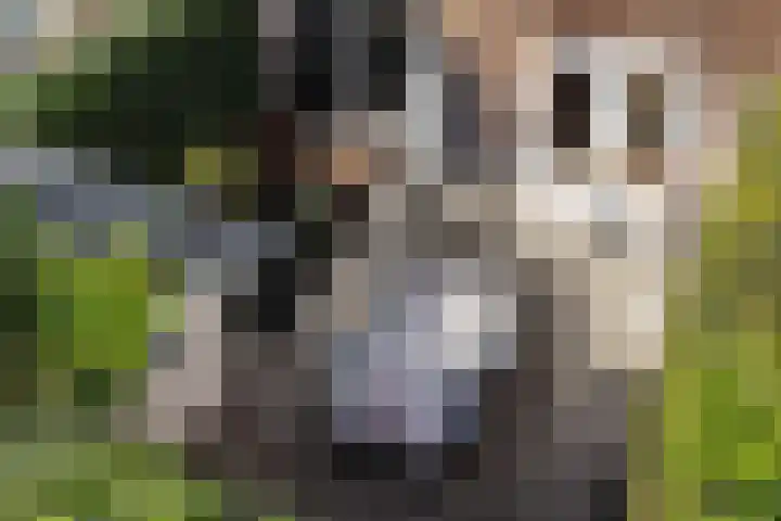 Donderslaan 34 5 Groningen thumbnail 31
