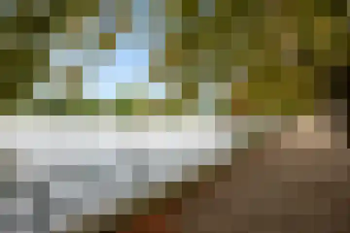 Donderslaan 34 5 Groningen thumbnail 32
