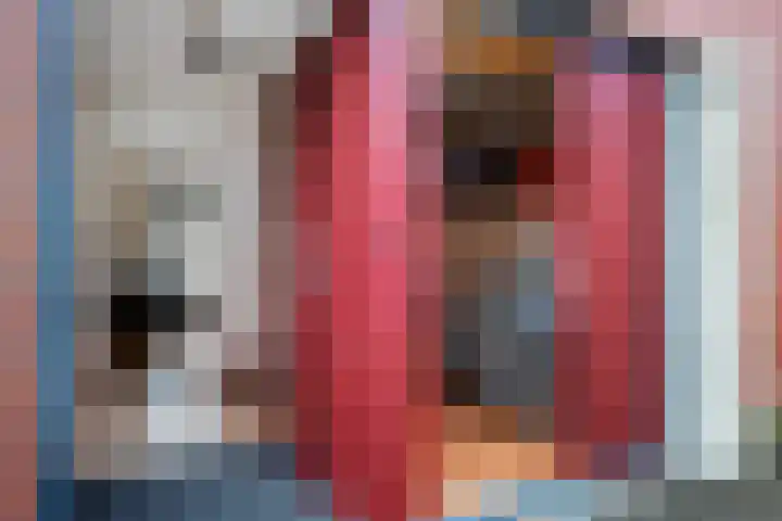 Donderslaan 34 5 Groningen thumbnail 35