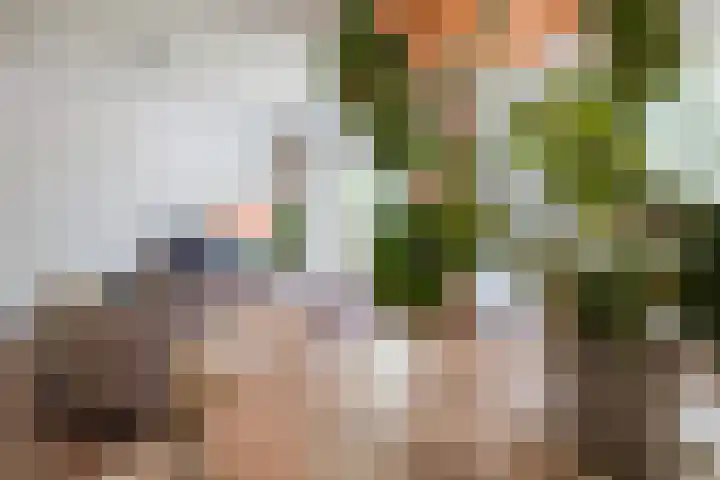 Donderslaan 46 Groningen thumbnail 14