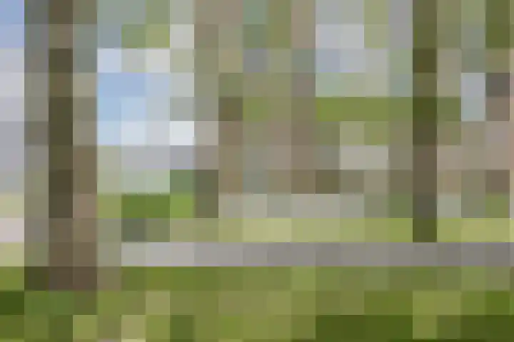 Donderslaan 46 Groningen thumbnail 32