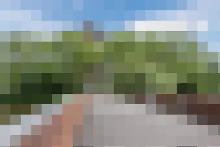 Donderslaan 46 Groningen thumbnail 33