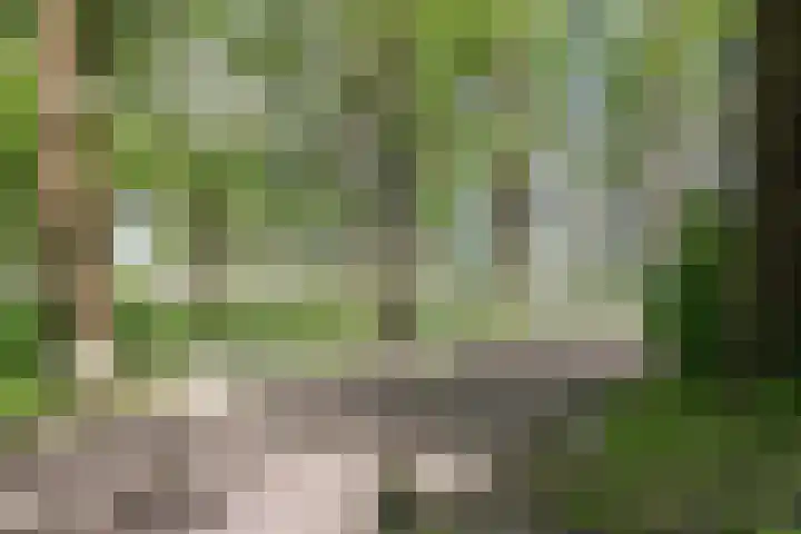Donderslaan 46 Groningen thumbnail 34