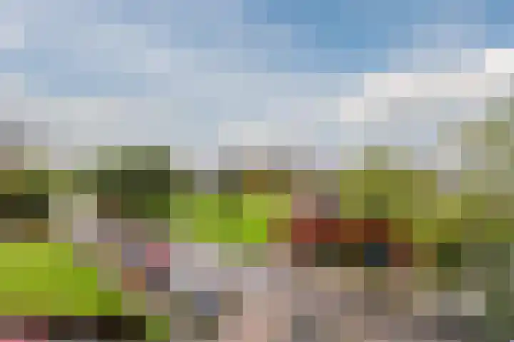 Donderslaan 59 Groningen thumbnail 30