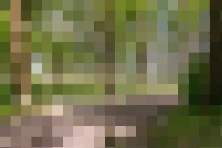 Donderslaan 59 Groningen thumbnail 34
