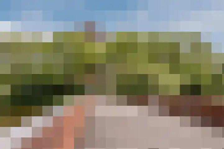 Donderslaan 59 Groningen thumbnail 35
