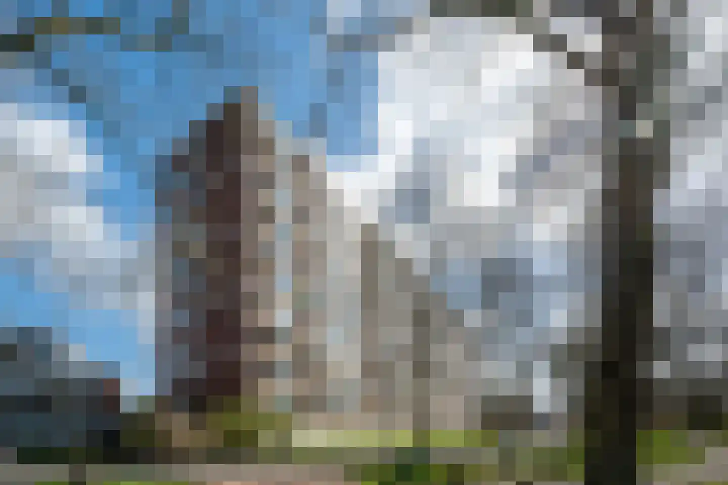 Donderslaan 74 Groningen thumbnail 8