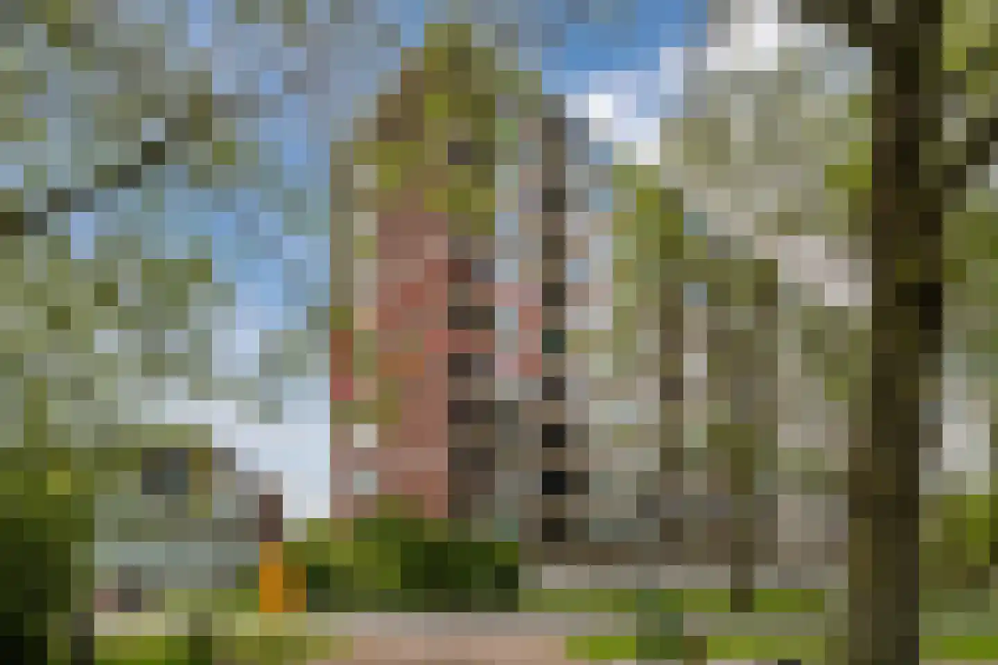 Donderslaan 94 Groningen thumbnail 34