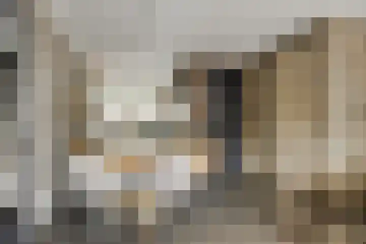 Dondersstraat 5 Ridderkerk thumbnail 12