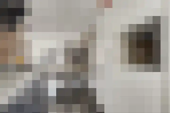 Dondersstraat 5 Ridderkerk thumbnail 13