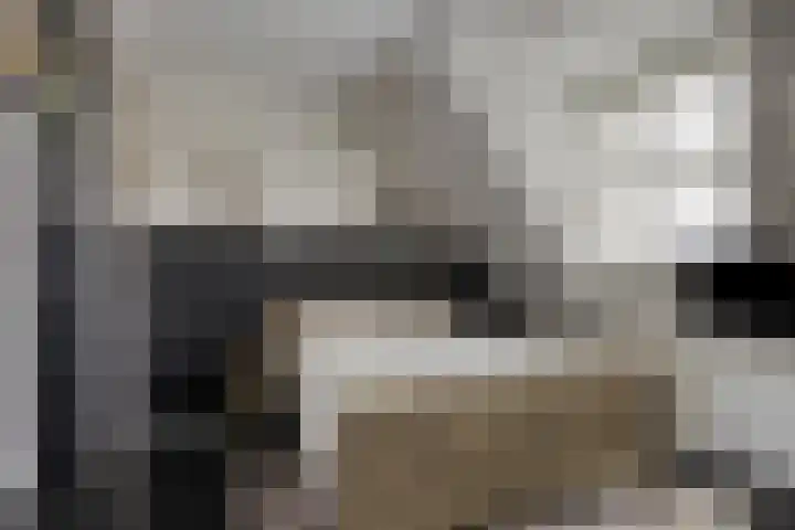 Dondersstraat 5 Ridderkerk thumbnail 16