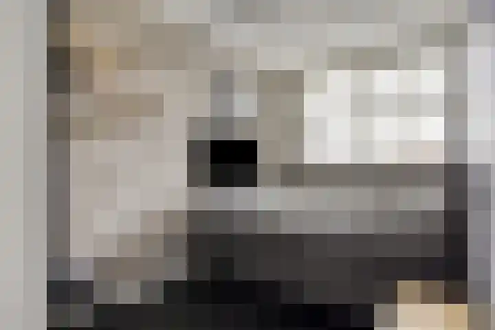 Dondersstraat 5 Ridderkerk thumbnail 18