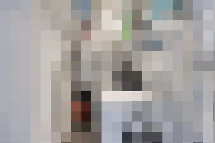 Dondersstraat 5 Ridderkerk thumbnail 21