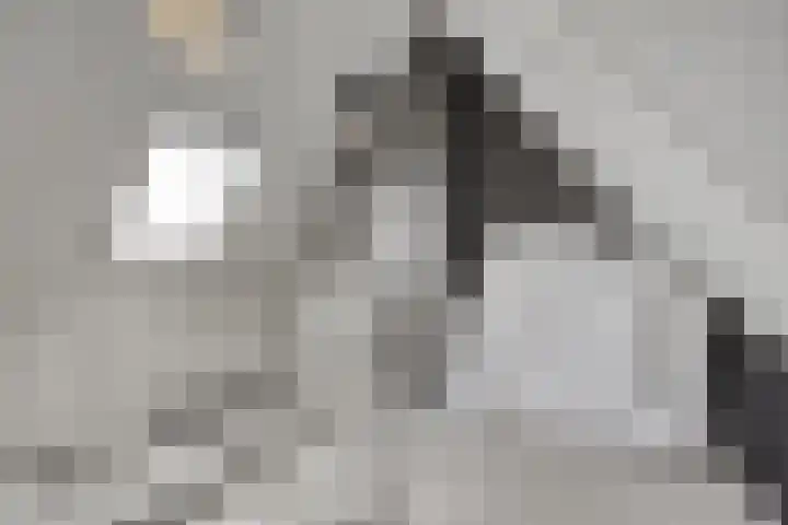 Dondersstraat 5 Ridderkerk thumbnail 22