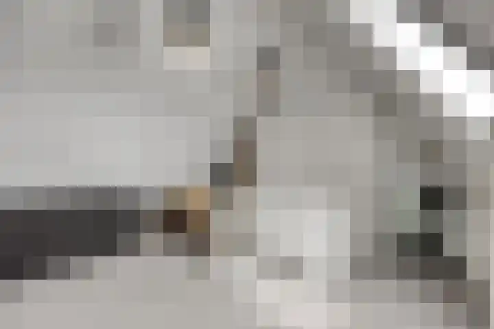 Dondersstraat 5 Ridderkerk thumbnail 23