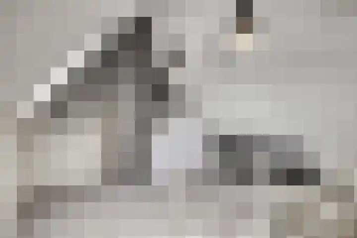 Dondersstraat 5 Ridderkerk thumbnail 24