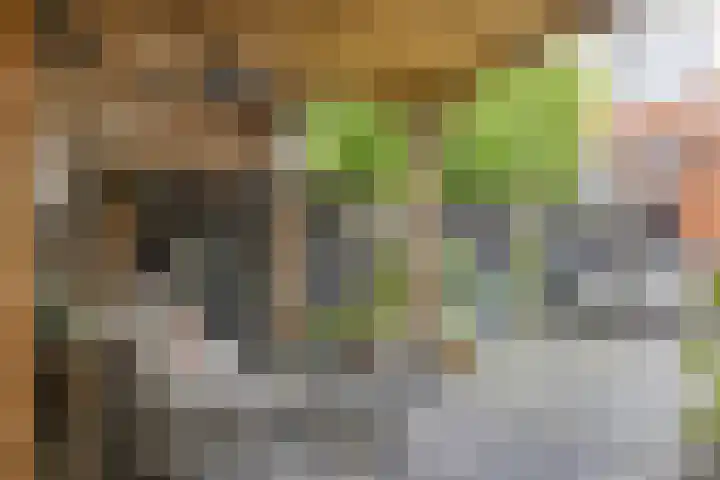 Dondersstraat 5 Ridderkerk thumbnail 26