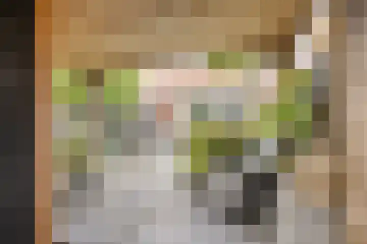 Dondersstraat 5 Ridderkerk thumbnail 27