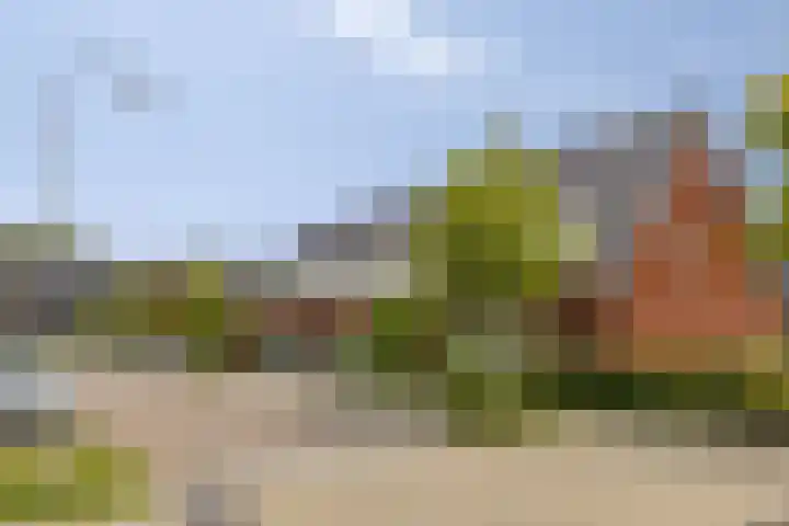 Dondersstraat 5 Ridderkerk thumbnail 30