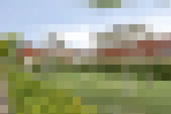 Dondersstraat 5 Ridderkerk thumbnail 32