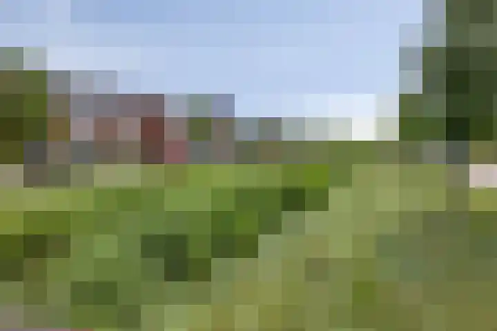Dondersstraat 5 Ridderkerk thumbnail 34