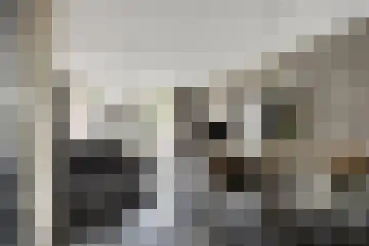 Dondersstraat 5 Ridderkerk thumbnail 8