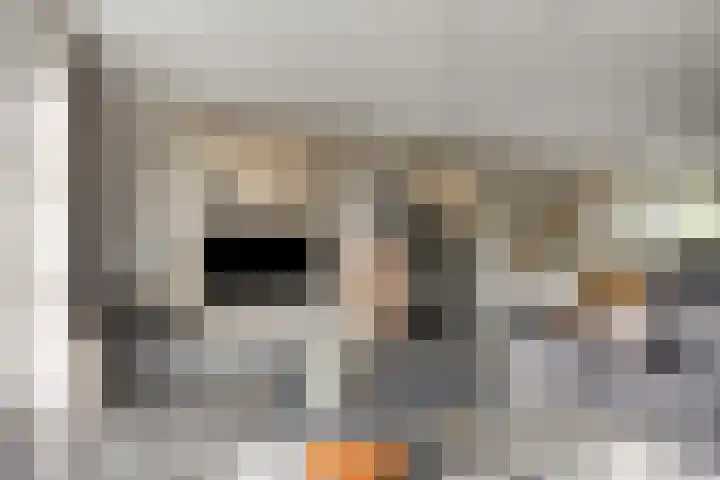 Dondersstraat 5 Ridderkerk thumbnail 9