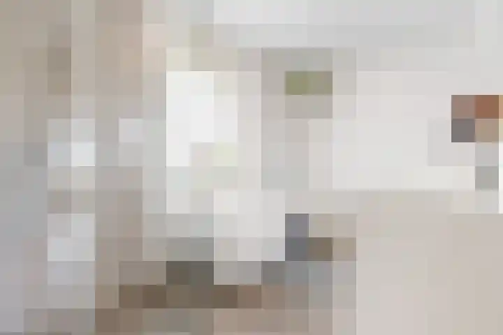 Donderwolk 21 De Meern thumbnail 21