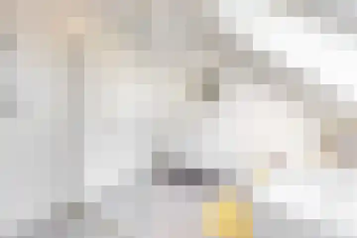 Donderwolk 21 De Meern thumbnail 27
