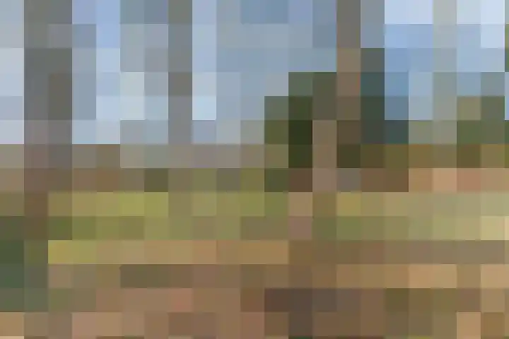 Donderwolk 21 De Meern thumbnail 36