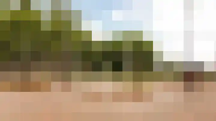 Donderwolk 21 De Meern thumbnail 43