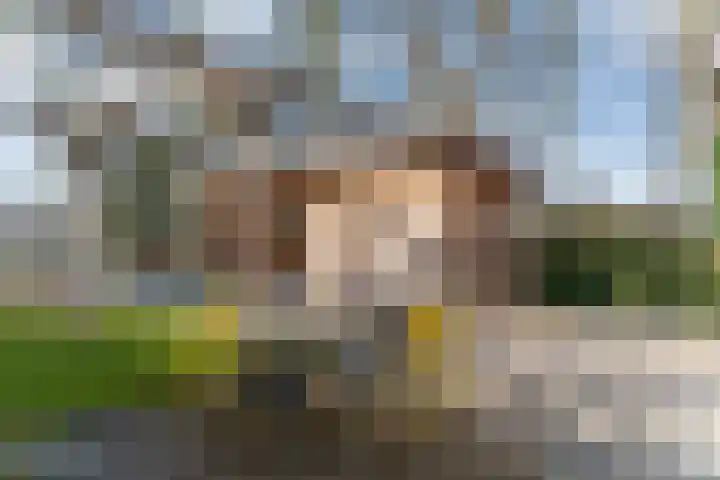 Donderwolk 21 De Meern thumbnail 45