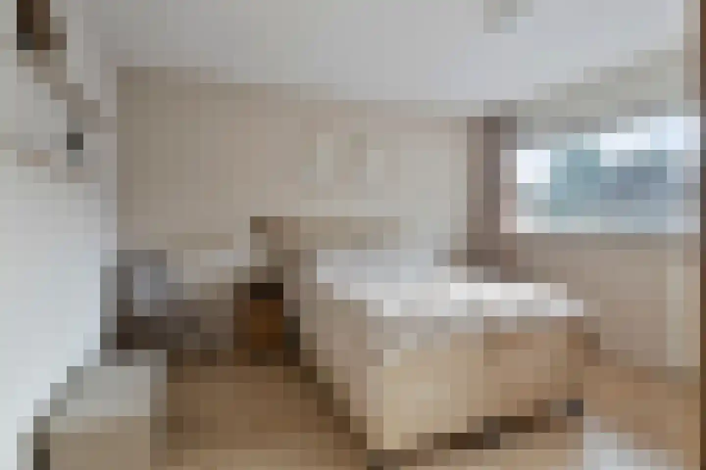Donellenlaan 12 Scheemda thumbnail 33