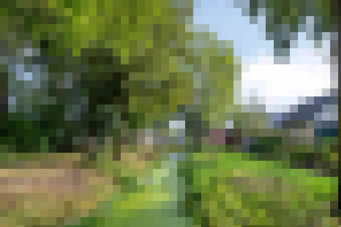 Donellenlaan 12 Scheemda thumbnail 58