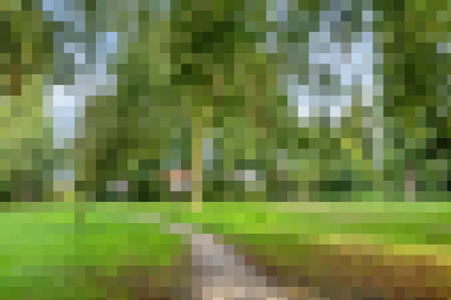 Donellenlaan 12 Scheemda thumbnail 60