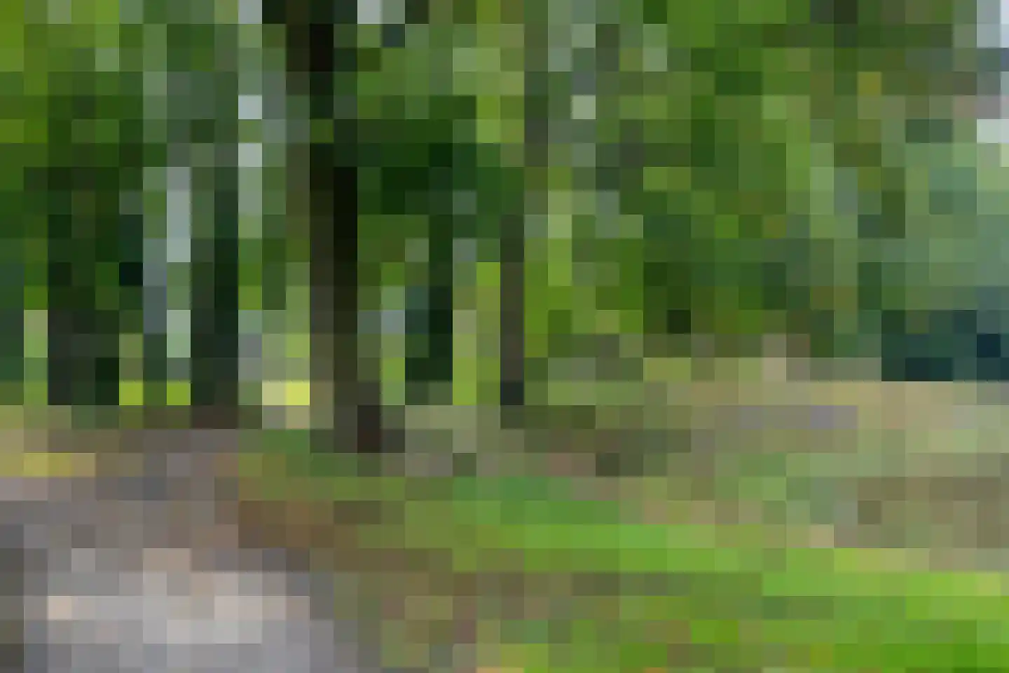 Donellenlaan 12 Scheemda thumbnail 61