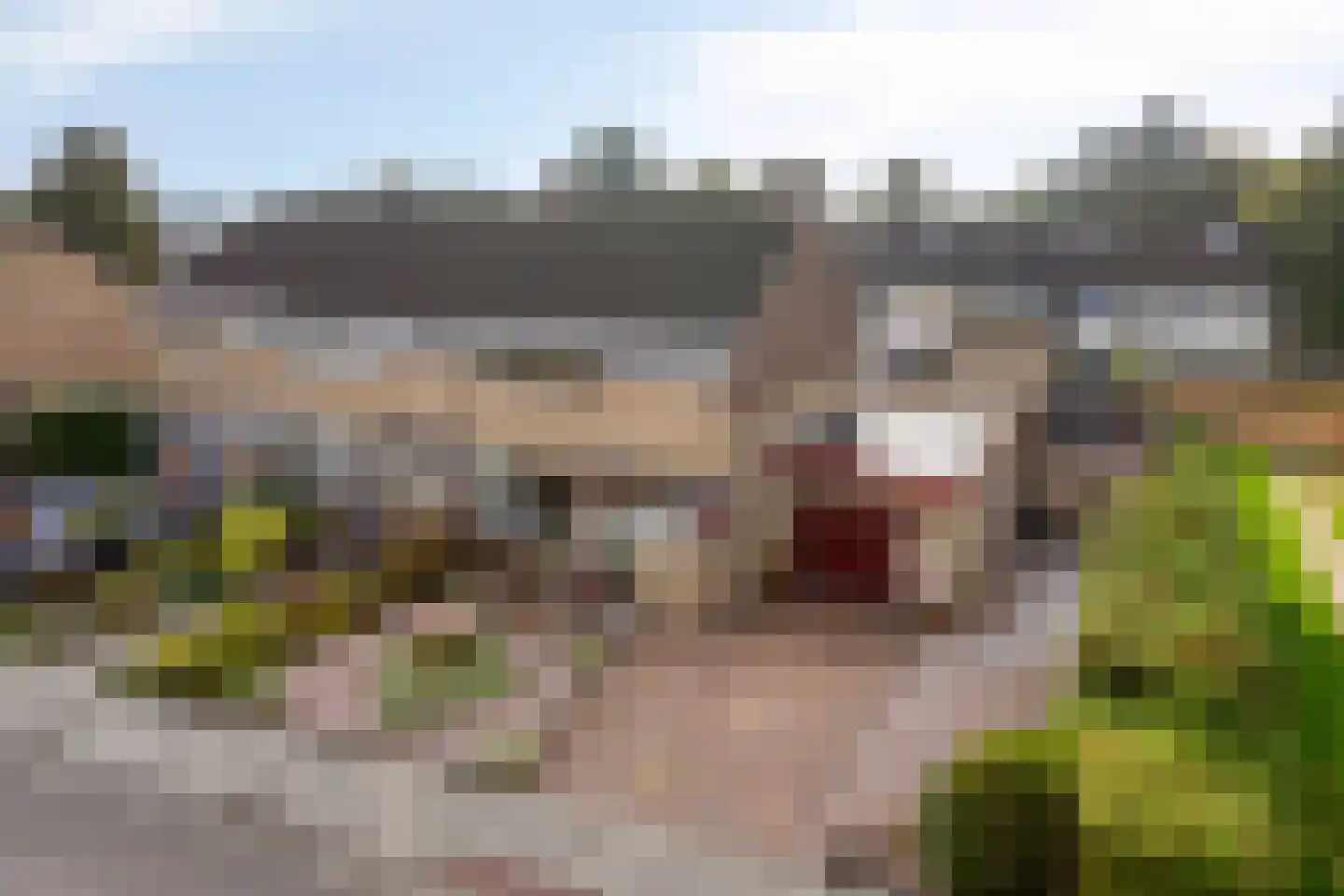 Donellenlaan 12 Scheemda thumbnail 8